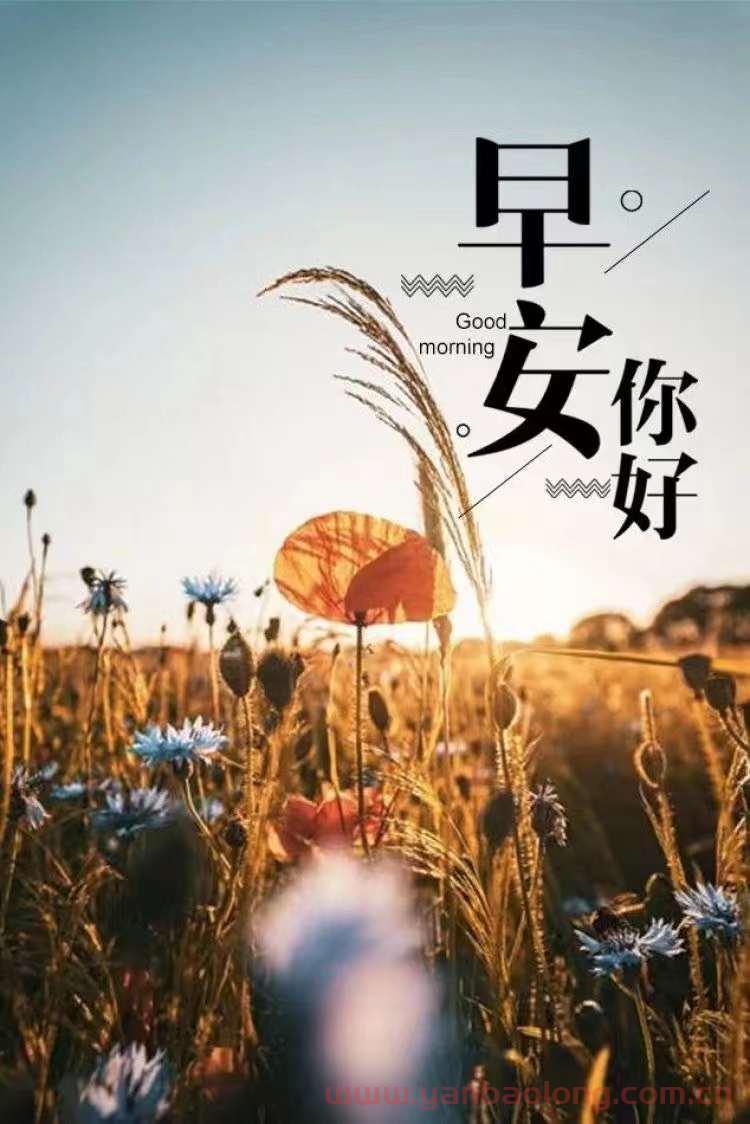 真正有修为的人，最顶级的力量是涅槃重生